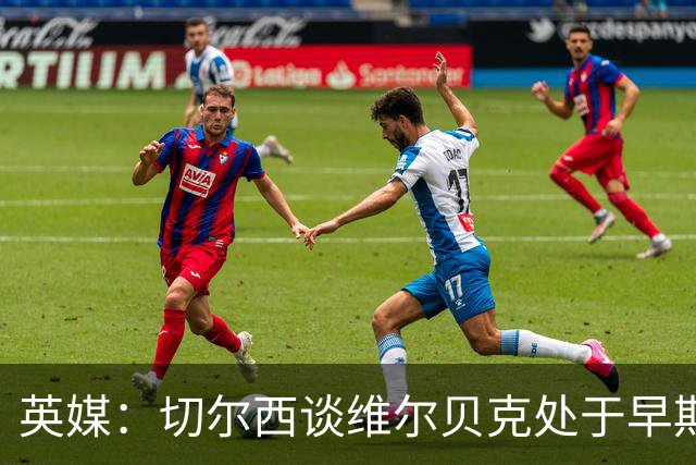 英媒：切尔西谈维尔贝克处于早期阶段，布莱顿不会阻拦其离队